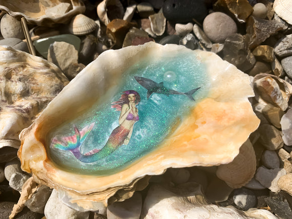 Clam worlds