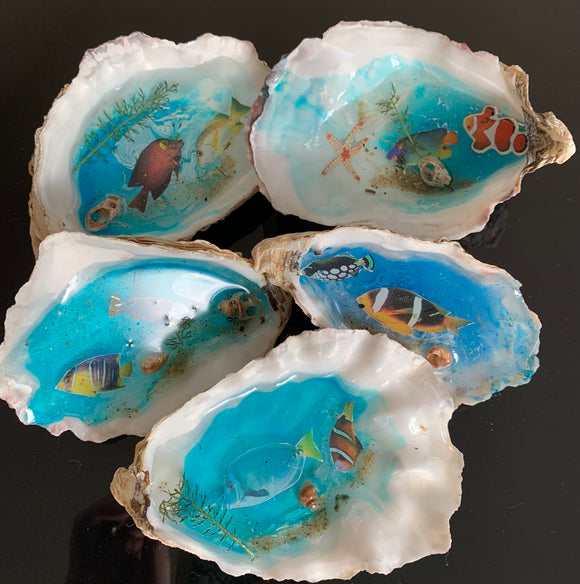 Fish Clam worlds