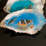 Fish Clam worlds