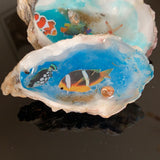 Fish Clam worlds