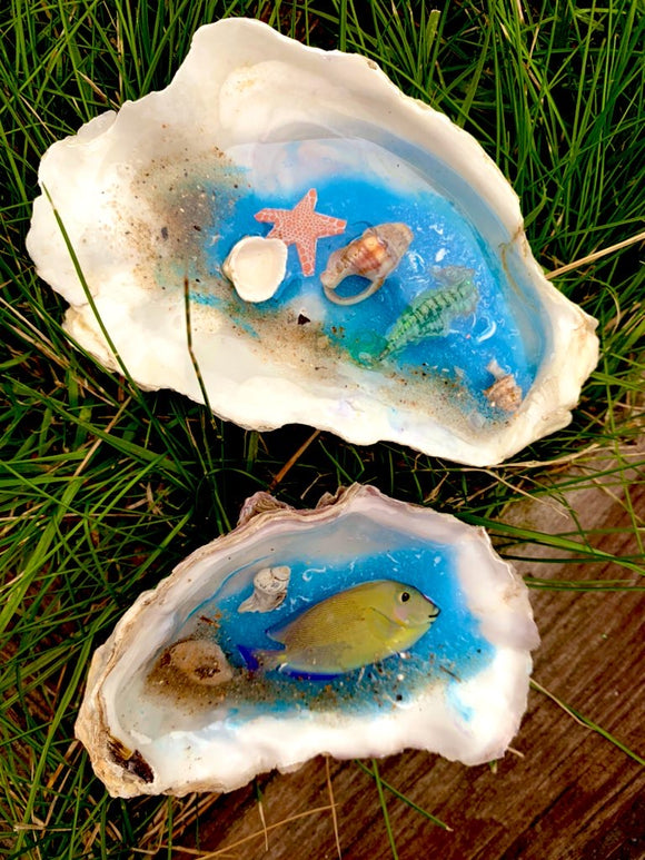 This weeks restock clam worlds