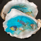 Fish Clam worlds