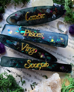 Zodiac hair clips